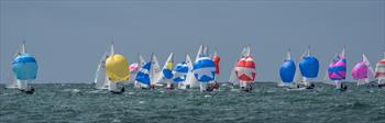 Craftinsure Wayfarer Nationals entries now open